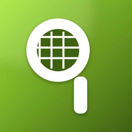 PadelDeck: Padel Scores icon